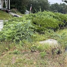 Overgrown-Hedge-PruningTrimming-Weeding-in-Coventry-RI 1